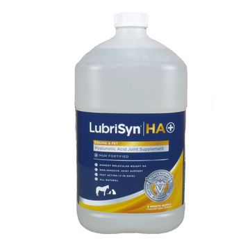 LubriSyn HA + msm gallon.